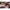 Thumbnail for Product image