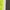 Thumbnail for Product image