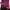 Thumbnail for Product image