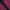 Thumbnail for Product image
