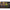 Thumbnail for Product image