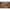 Thumbnail for Product image