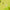 Thumbnail for Product image