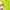 Thumbnail for Product image