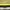 Thumbnail for Product image