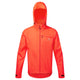 Orange / 2XL