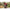 Thumbnail for Product image