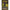 Thumbnail for Product image