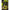 Thumbnail for Product image