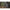 Thumbnail for Product image