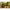 Thumbnail for Product image