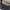 Thumbnail for Product image